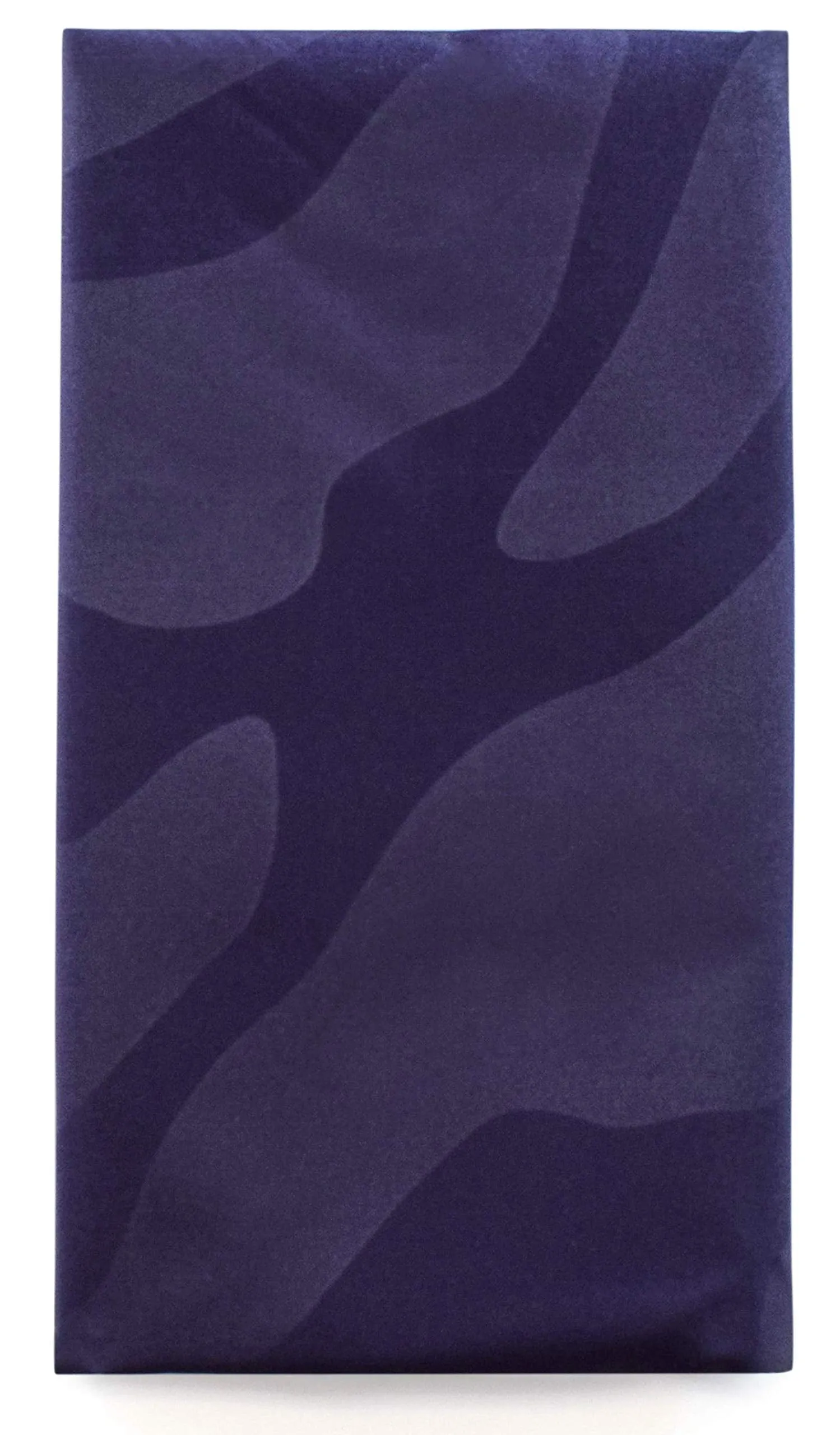 Betty Dain Bleach-proof All Purpose Styling Cape, Material Defends Against Bleach Stains, Color Proof, Chemical Proof, Waterproof, Lightweight Embossed Nylon, Purple