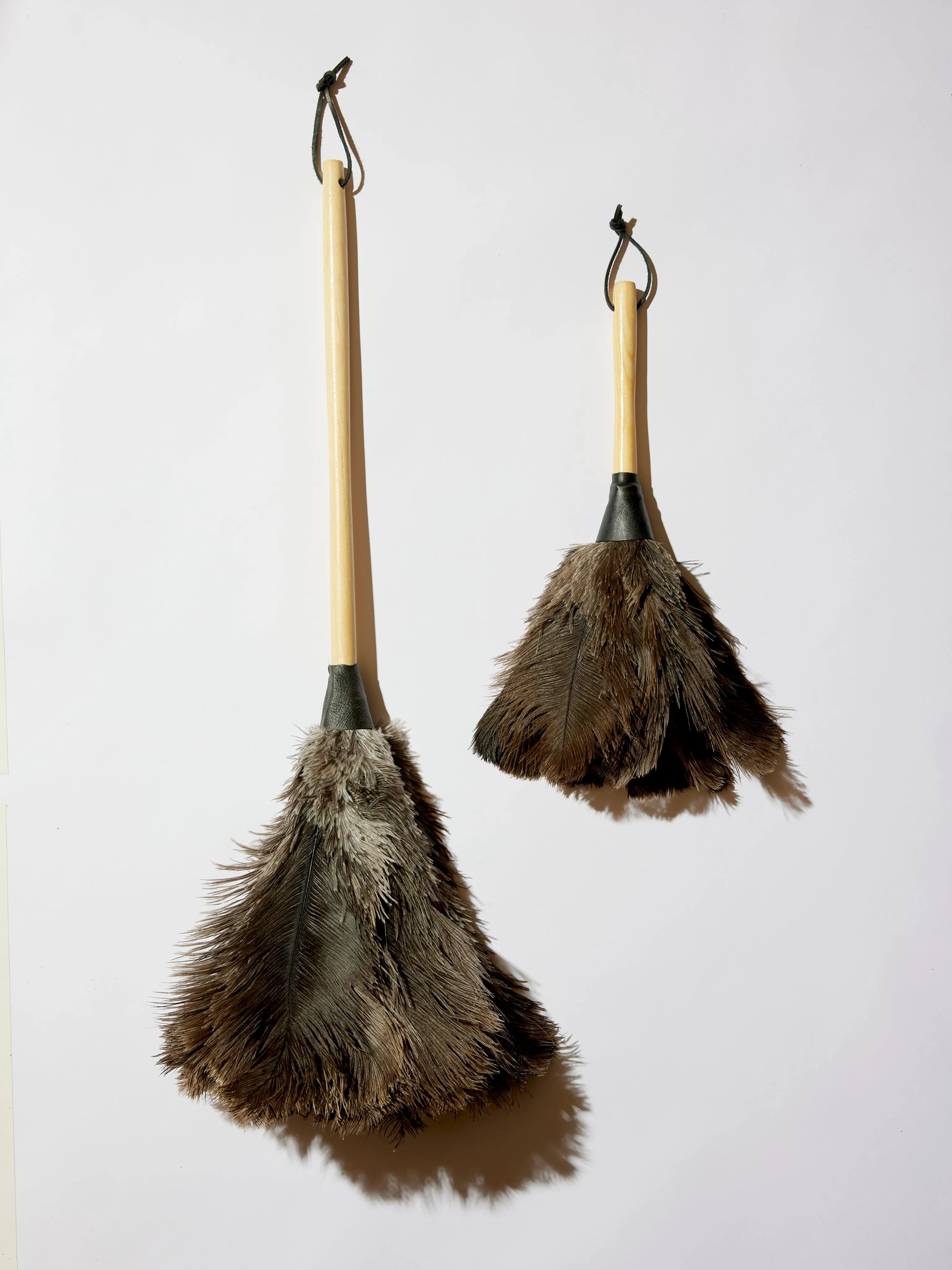 Feather Dusters