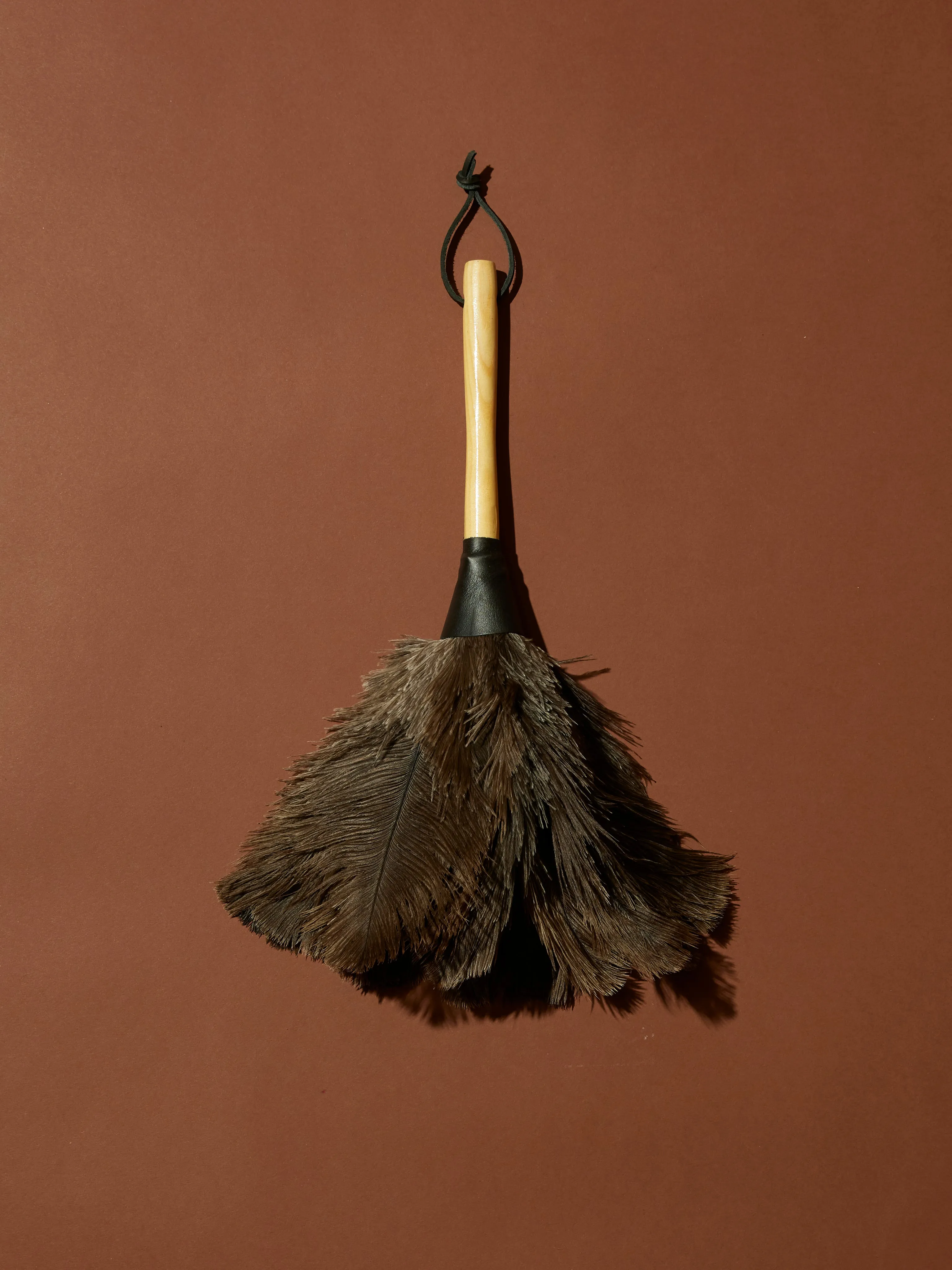 Feather Dusters