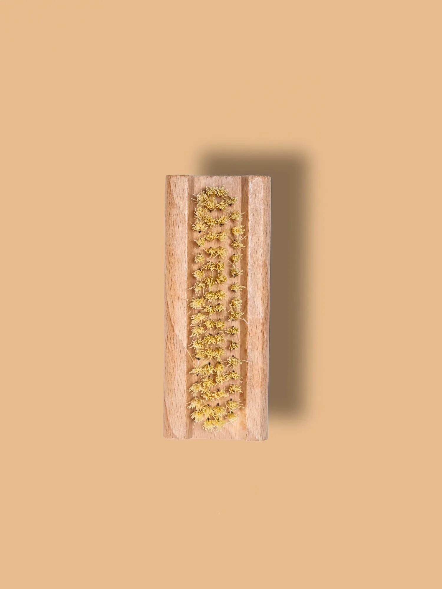 Nail Brush